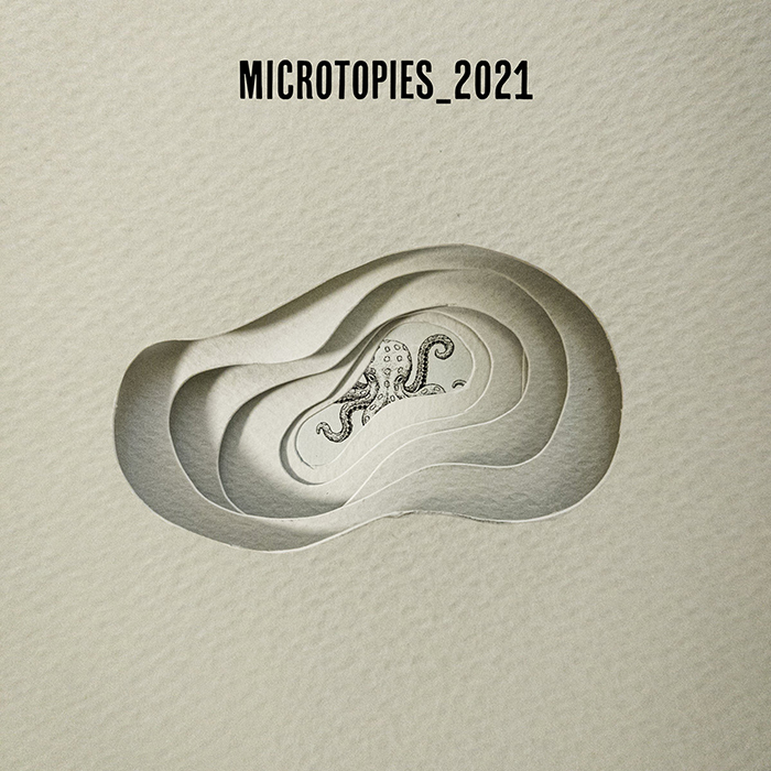 imagen. microtopies 2021